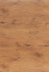 4262-Pale-Lancelot-Oak