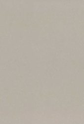 Noble-Ivory-White_SLAB